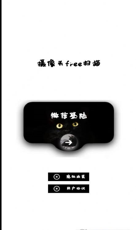 网络摄像头检测器