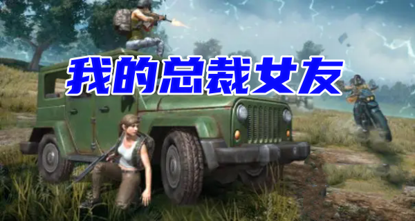 我的总裁女友游戏合集