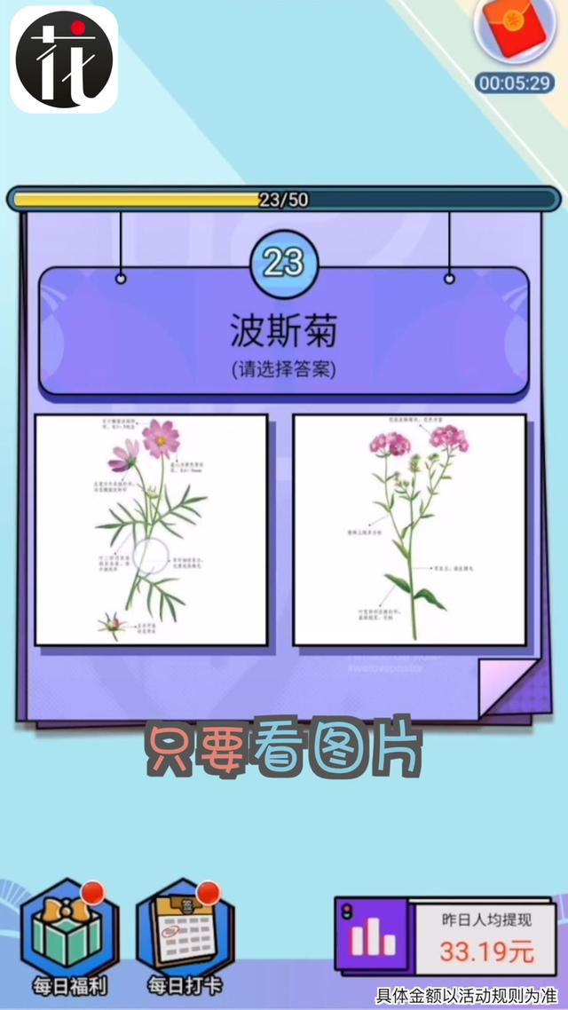 爱上鲜花赚金版