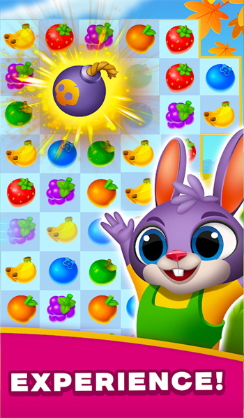兔子农场游戏(Bunnys Farm)