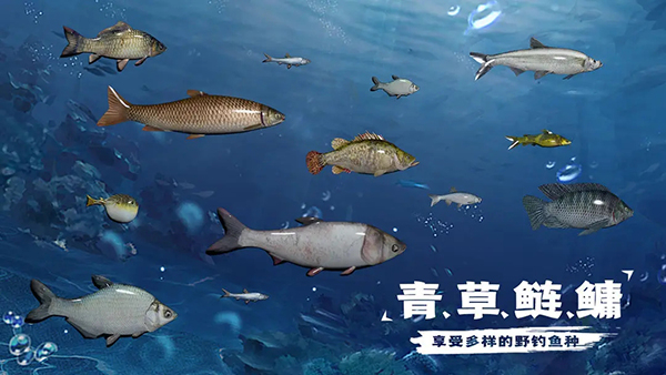 天天钓鱼游戏